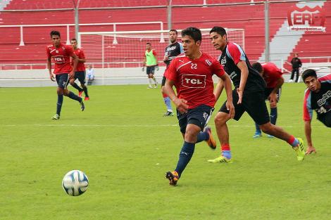 delcastillo-selectivo-cai-brown